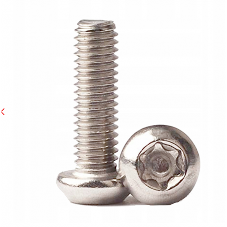 Śruby do mocowania tarczy hamulcowej TORX (6 szt.) srebrne INOX